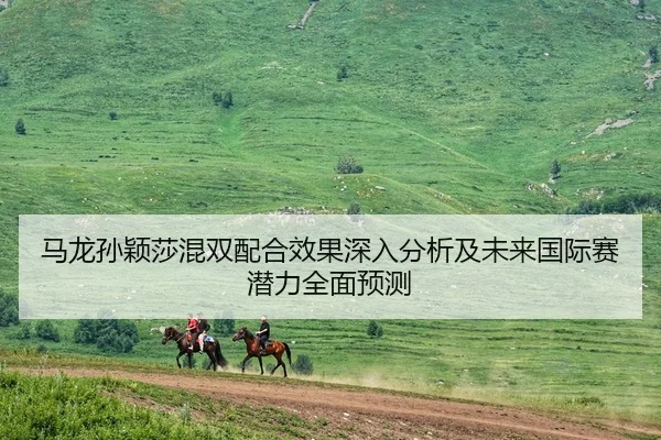 马龙孙颖莎混双配合效果深入分析及未来国际赛潜力全面预测（ONE ENTERTAINMENT）